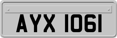 AYX1061