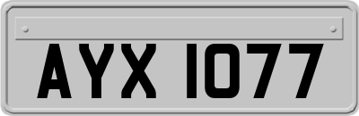 AYX1077