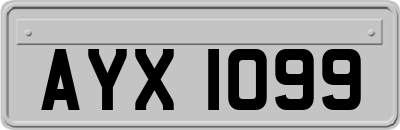 AYX1099