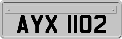 AYX1102