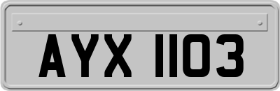 AYX1103