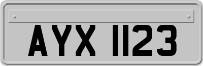 AYX1123