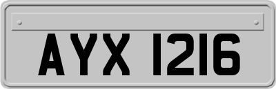 AYX1216