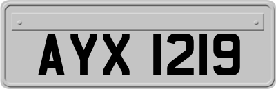 AYX1219