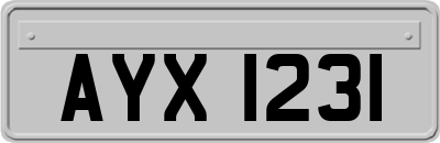 AYX1231