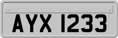 AYX1233