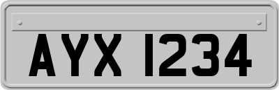 AYX1234