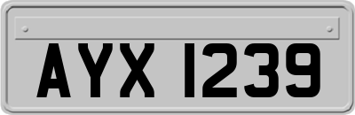 AYX1239