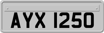 AYX1250