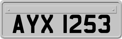 AYX1253