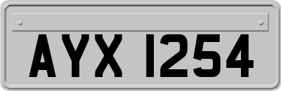 AYX1254