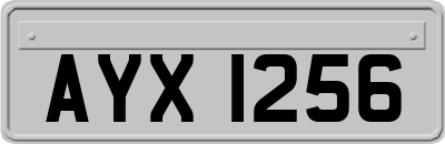 AYX1256