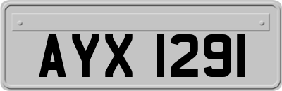 AYX1291
