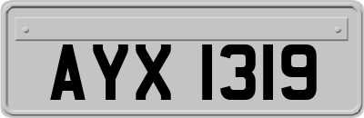 AYX1319
