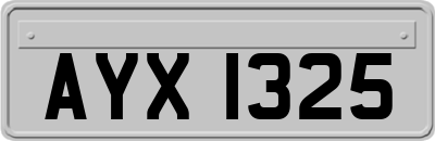 AYX1325