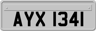 AYX1341