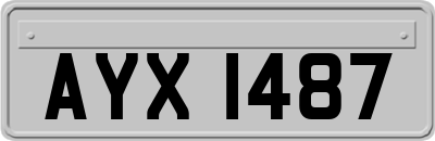 AYX1487