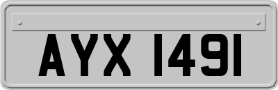 AYX1491