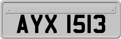 AYX1513