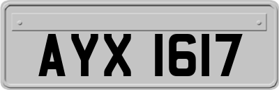 AYX1617