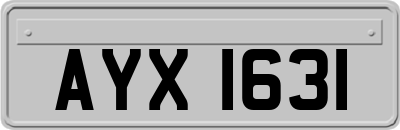 AYX1631