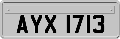 AYX1713