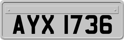 AYX1736