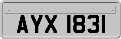 AYX1831
