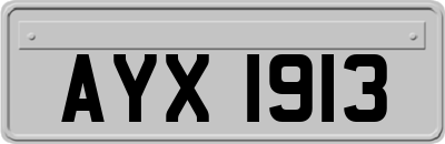 AYX1913