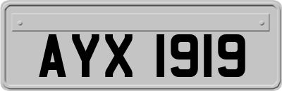 AYX1919