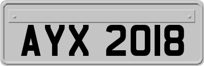 AYX2018