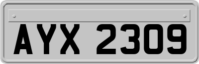 AYX2309