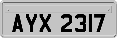 AYX2317