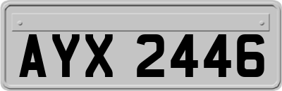 AYX2446