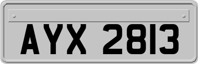 AYX2813
