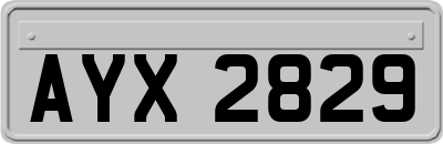 AYX2829