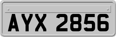 AYX2856