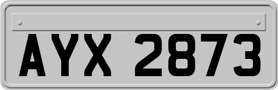 AYX2873