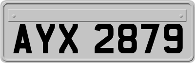 AYX2879