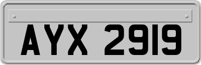 AYX2919