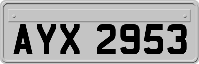 AYX2953