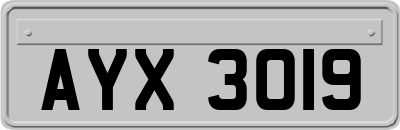 AYX3019