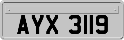 AYX3119