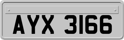 AYX3166