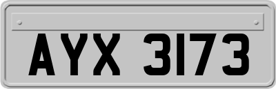 AYX3173