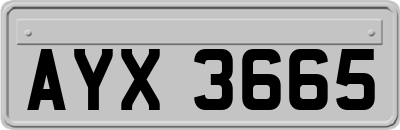 AYX3665