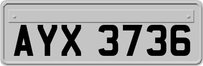 AYX3736
