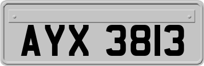 AYX3813