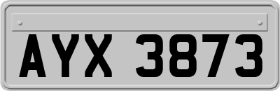 AYX3873