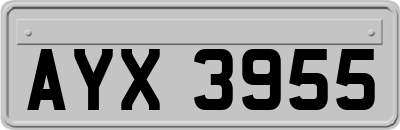 AYX3955